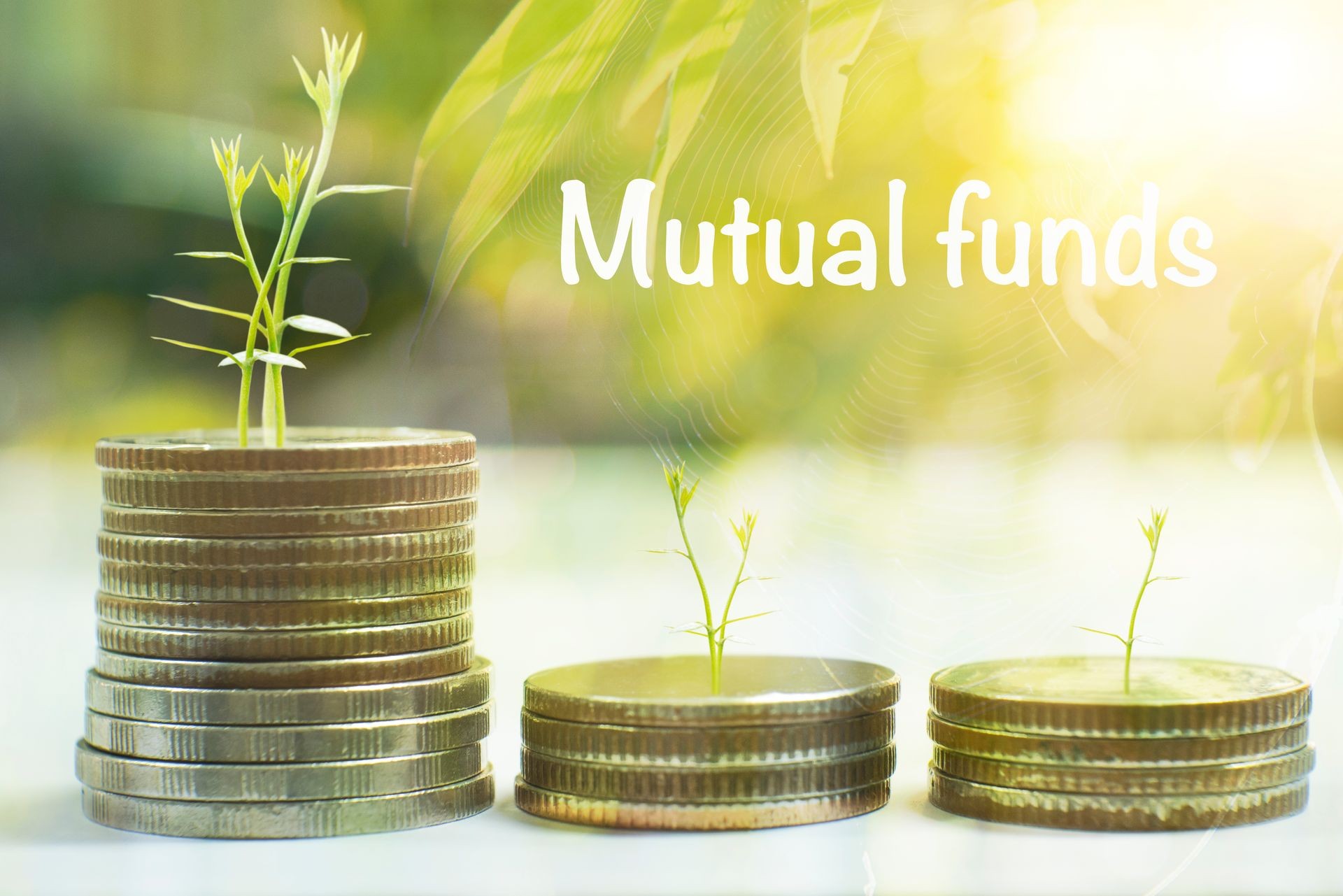 Coin with trees in mutual funds concept.